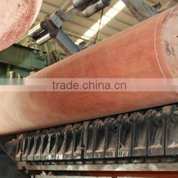 Wood Veneer Used for Plywood/engineered Wood Veneer/PLB Veneer photo-3