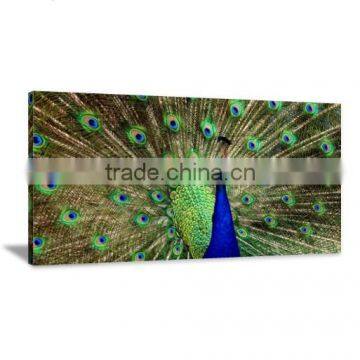 Amazing Art Peacock Giclee Printing Canvas Painting Picture Livingroom Decor DWYS26