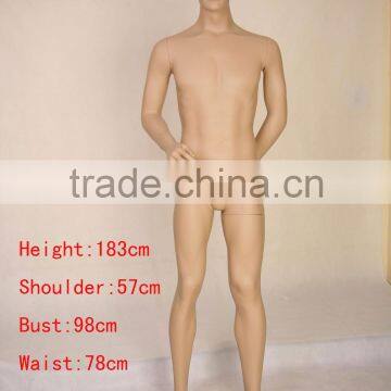 New male mannequin