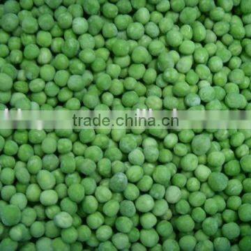China Good Price IQF Frozen Green Peas