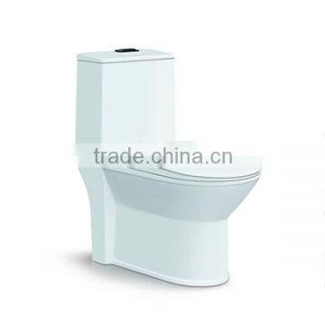 Sanitary Squatting Water Closet