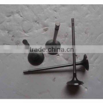 High Quality Chevrolet Cruze Intake Valve 55557862