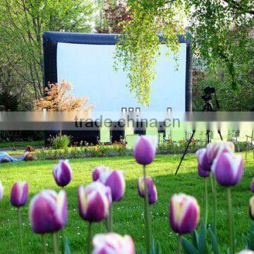 Large Inflatable Projection Screen For Yard Activity