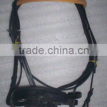 horse Bridle