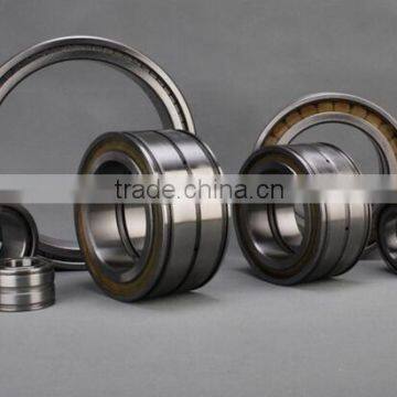 SL045008PP Double-Row Full Complement Cylindrical Roller Bearing SL045008 PP ,SL04 5008 PPNR