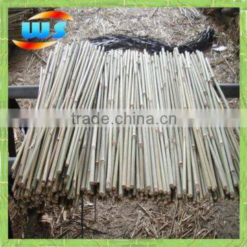 bambu for plant growing 2'X10/12mm