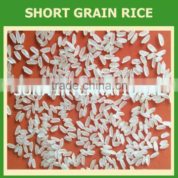 Vietnamese Rice : Long , Round, Short Grain, Jasmine, Japonica, Broken,... photo-3