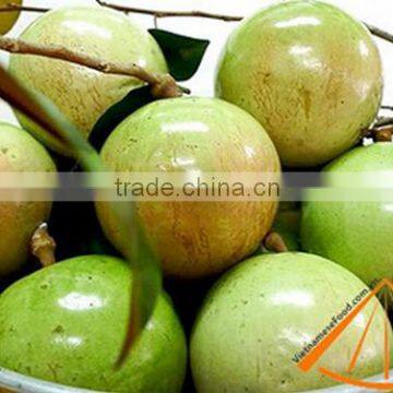 STAR APPLE