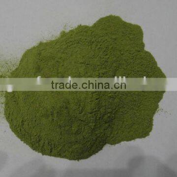 2013 dehydrated spinach powder