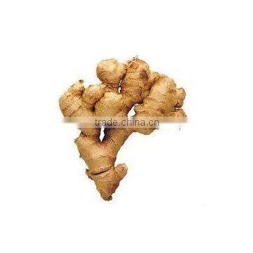 INDIAN DRIED GINGER WHOLE