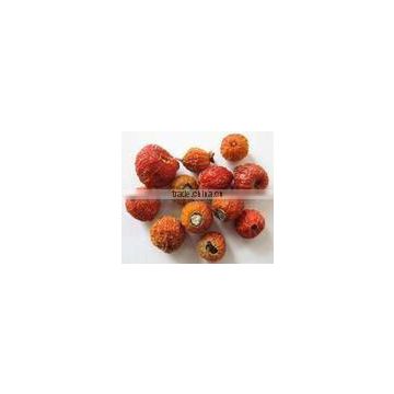 Rose Hip Extract Powder 10:1 100%Water Soluble