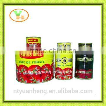 china tomato paste,wholesale canned tomato paste,canned ketchup