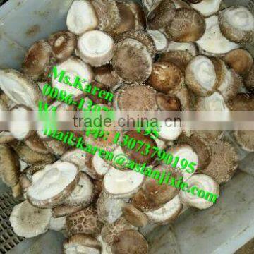 Mushroom leg cutting machine / Mushroom leg cutter machine / Mushroom leg and cap separator machine