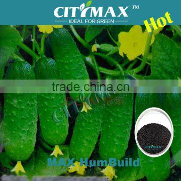 60% Humic Acid For Vegetables Fertilizer