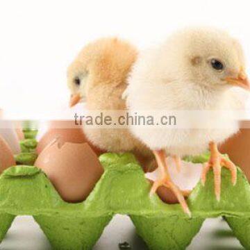 High Quality Sodium Humate Combination Of Humic Acid