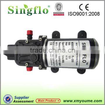 Classical Singflo 12V DC 160psi high pressure water pump for car wash