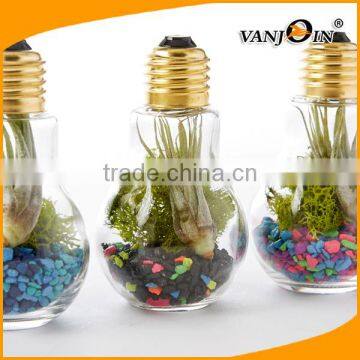 Plastic Light Bulb Terrarium Plants Container with Breath Hole