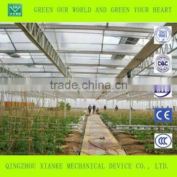 Multi-Span Commercial Fiberglass Greenhouses photo-5