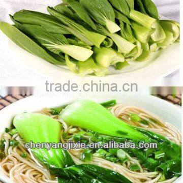 Mini Hot Sell High Quality Automatic Instant Noodle Making Machine photo-4