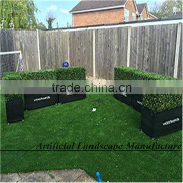 SAS016014 Artificial Hedge Panel UV Protect PE Boxwood Mat