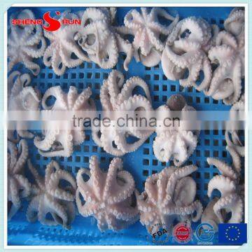Frozen Baby Otopus IQF Gutted photo-3
