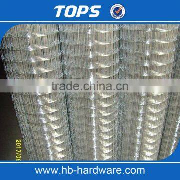 Galvanized Welded Wire Mesh Price photo-4