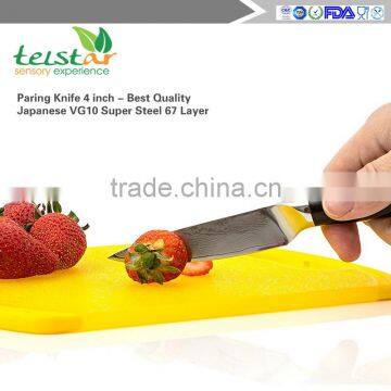 Paring Knife 4 Inch - Best Quality Japanese VG10 Super Steel 67 Layer High photo-3