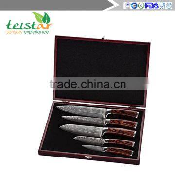 5pcs Japanese Damascus Steel 8 inch Chef knife Best Quality Japanese VG10 Super Steel 67 Layer High Carbon Stainless Steel-Raz