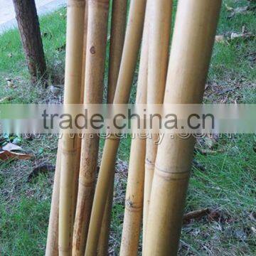 Hollow Guadua Bamboo Poles Can be Split photo-2