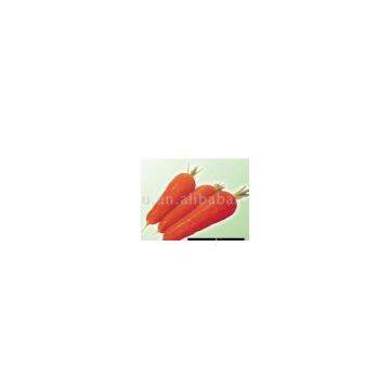 Sell Carrots photo-1