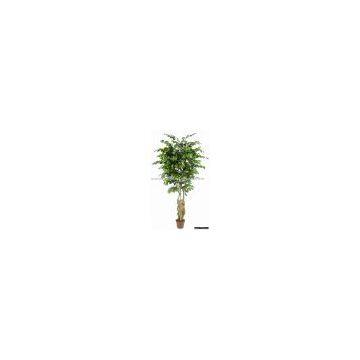 artificial tree 6' WAVED FICUS  X 1764 LVS