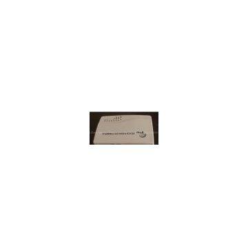 GSM fixed wireless terminal /fwt