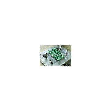 Ppr Mould