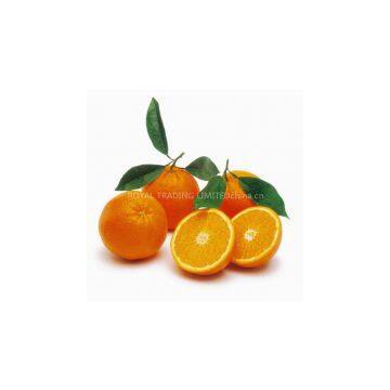 Fresh Valencia orange