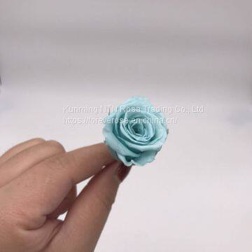 Forever Rose Offers Long Lasting Rose Arrangements photo-3