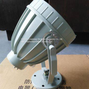 Split Explosion-proof Lamp Explosion Proof Spotlight BAT51-J1000W photo-5