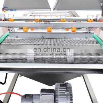 Automatic Conveyor Belt Industrial Apple Lemon Fruit Vegetable Washer Machine Lavadora de Frutas photo-5