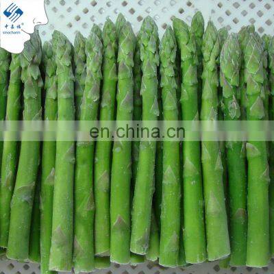 Sinocharm BRC A Approved New Season IQF Green Asparagus Frozen Green Asparagus