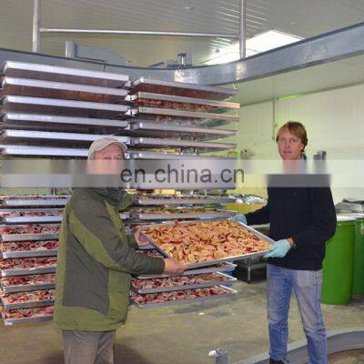 LTDG-Series CE Certified High Quality Fruit and Vegetable Vacuum Freeze Dryer photo-3