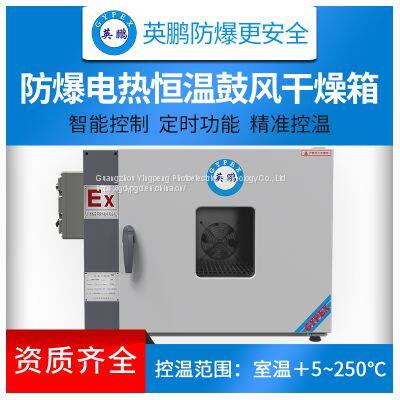 Guangzhou Yingpeng Customized Explosion proof Oven