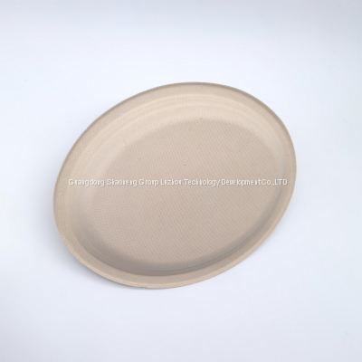 12.5 Inch Customizable Big Oval Plate Sugarcane Biodegradable Wholesale Bagasse Plate Compostable Biodegradable Plastic Free photo-2