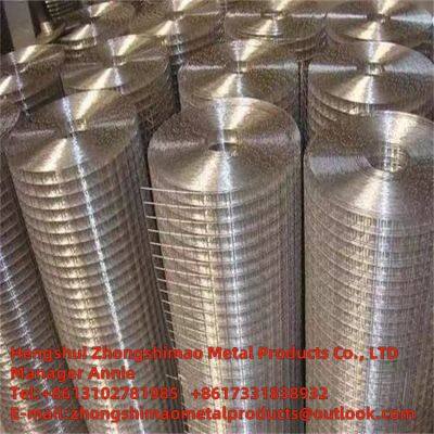 Welded wire mesh/galvanized wire mesh /wire netting/weld mesh roll/