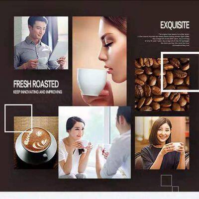 Commercial Nut Roasting Machine / Peanut Roaster Machine / Coffee Bean Roaster