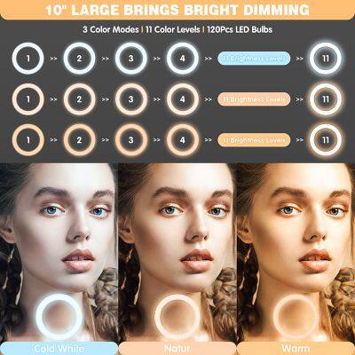 12in Photography LED Selfie Ring Light Three-speed Stepless Lighting Dimmable With Cradle Head For Makeup Video Live Studio photo-2