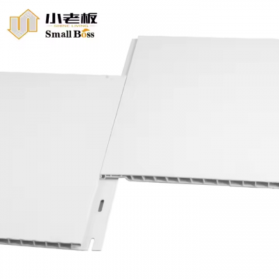 PVC Interlocking Wall and Ceiling Panel for Canada and US Market Agricultural Projects Car Wash Room Cleaning Room Warehouse photo-2