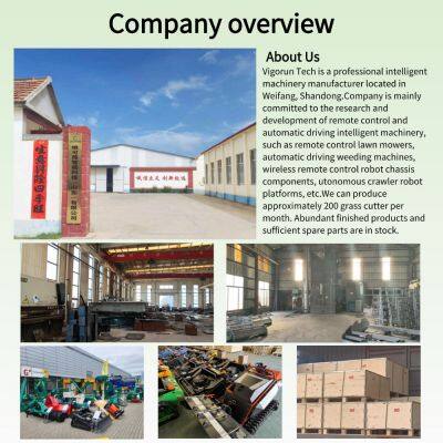 Smart Lawn Mower Euro 5/EPA Hazard-Free Operation Low Maintenance Cost, Grass Cutting Mower for Forestry Vigorun VTW550 photo-6