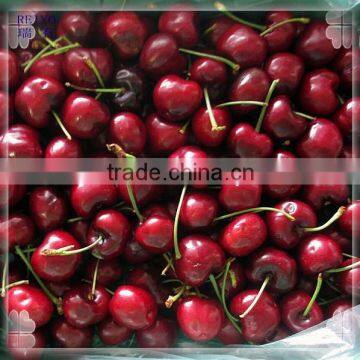 frozen red cherry local fruit