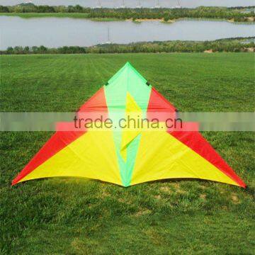 big kites for sale