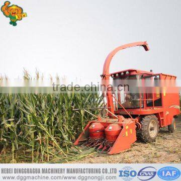 Double discs header self-propelled corn forage combine harvester