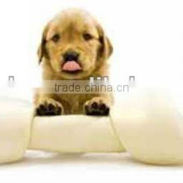 Popular dog biting glue processing line machine